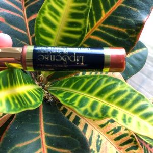 Senegence Lipsense Plum Pretty